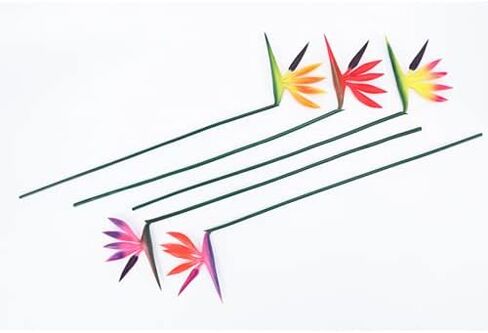 Medium Bird of Paradise 23 Inch Permanent Flower,Flower Stem 5 mm,Flower Part is Made of Soft Rubber PU,Artificial Flower Plants Small Flower Arrangement for Home Office 8 Pcs (Orange(Yellow)) in Saudi Arabia