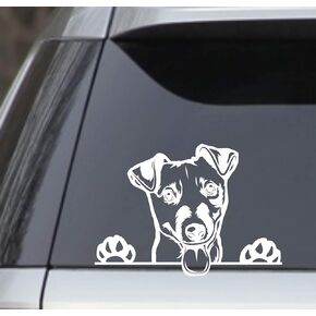 Peek a Boo Jack Russell Terrier White 7.5" Vinyl Decal Sticker Perfect for car Laptop Window Wall yeti Cup