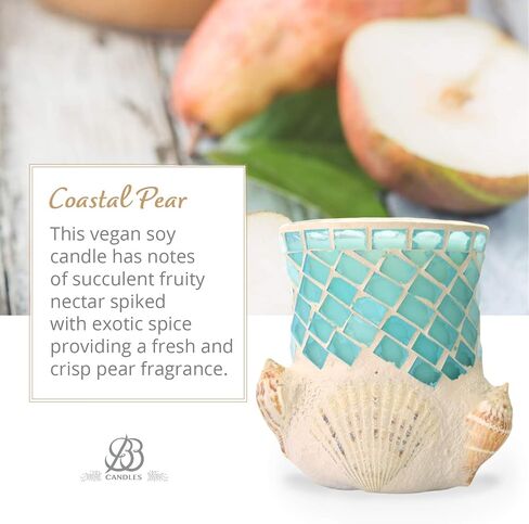 شمعة Shoreline Artisan، شمعة مصبوبة يدويًا من الصدف البحري والصويا البحرية، شمعة زجاجية مزخرفة لديكور المنزل الفاخر، شمعة الصويا مع احتراق طويل أكثر من 80 ساعة - نجيل الهند (13oz) in Saudi Arabia
