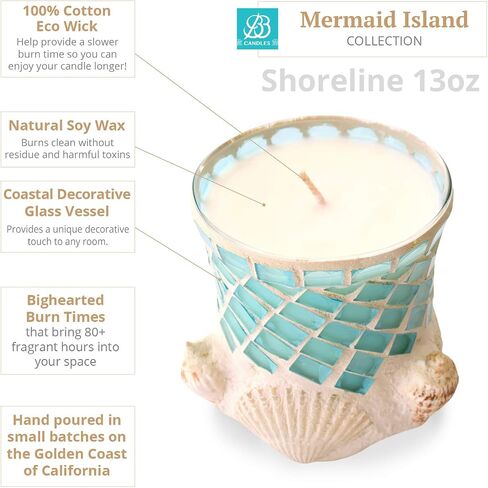 شمعة Shoreline Artisan، شمعة مصبوبة يدويًا من الصدف البحري والصويا البحرية، شمعة زجاجية مزخرفة لديكور المنزل الفاخر، شمعة الصويا مع احتراق طويل أكثر من 80 ساعة - نجيل الهند (13oz) in Saudi Arabia