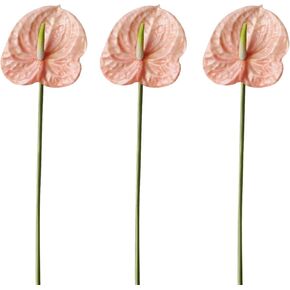 22" Artificial Anthurium Lily Flowers 3pcs Fake Tropical Flowers for Vase Bouquets Home Office Wedding Decor（Green White）