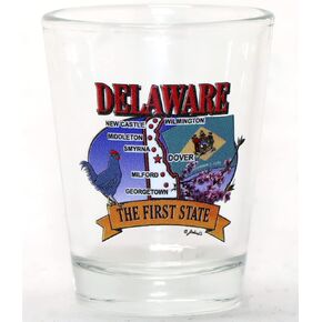 Delaware State Elements Map Shot Glass