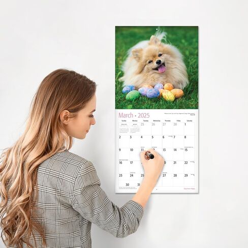 RED EMBER Funny Gag Gift Dooty Calls Puppies 2024 Hangable Monthly Wall Calendar Pooping Crapping | 12" x 24" Open | Thick & Sturdy Paper | Giftable | Joke, White Elephant, Yankee Swap, Secret Dirty in Saudi Arabia
