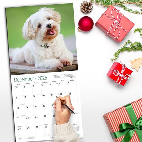 RED EMBER Funny Gag Gift Dooty Calls Puppies 2024 Hangable Monthly Wall Calendar Pooping Crapping | 12" x 24" Open | Thick & Sturdy Paper | Giftable | Joke, White Elephant, Yankee Swap, Secret Dirty in Saudi Arabia