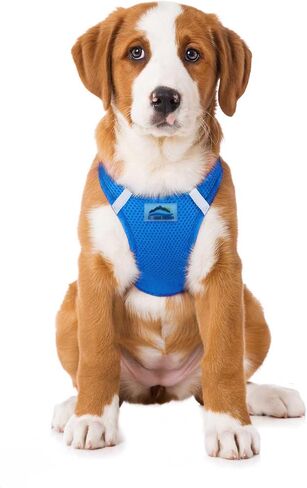 Doggie Design American River Step in Ultra Choke Free Safe Reflective Strips Dog Harness (Soft Mesh Polyester, Machine Wash and Line Dry) - Cobalt Blue (L) in Saudi Arabia
