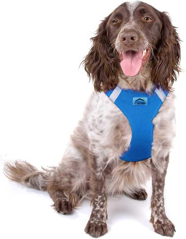 سرج للكلاب من Doggie Design American River Step in Ultra خالية من الاختناق، شرائط عاكسة آمنة (بوليستر شبكي ناعم، يُغسل في الغسالة ويُجفف بالتعليق) - أزرق كوبالت (L) in Kuwait