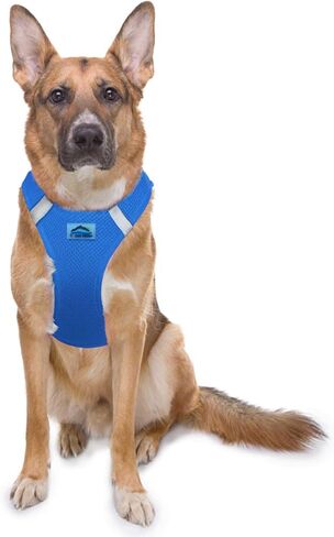 Doggie Design American River Step in Ultra Choke Free Safe Reflective Strips Dog Harness (Soft Mesh Polyester, Machine Wash and Line Dry) - Cobalt Blue (L) in Saudi Arabia