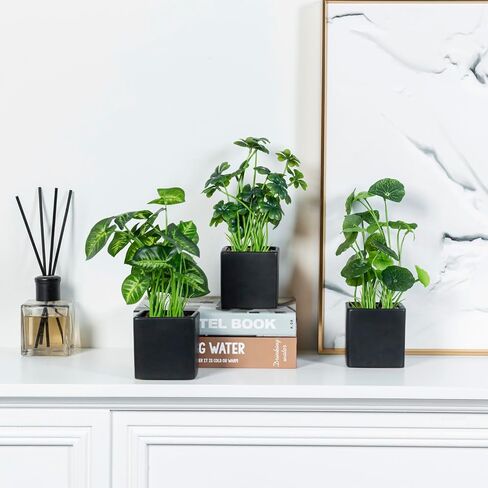 MyGift Modern Trio of Artificial Assorted Green Leaf Plants Potted in Black Ceramic 3-Inch Square Pots, Small Faux Foliage Indoor Tabletop Houseplants, 3 Piece Set in Saudi Arabia