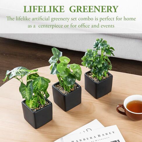 MyGift Modern Trio of Artificial Assorted Green Leaf Plants Potted in Black Ceramic 3-Inch Square Pots, Small Faux Foliage Indoor Tabletop Houseplants, 3 Piece Set in Saudi Arabia