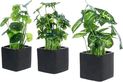 MyGift Modern Trio of Artificial Assorted Green Leaf Plants Potted in Black Ceramic 3-Inch Square Pots, Small Faux Foliage Indoor Tabletop Houseplants, 3 Piece Set in Saudi Arabia