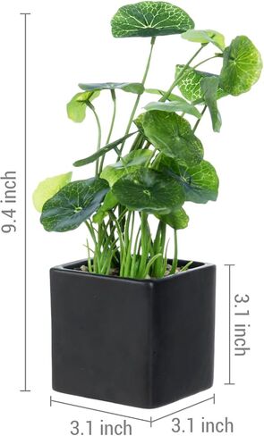 MyGift Modern Trio of Artificial Assorted Green Leaf Plants Potted in Black Ceramic 3-Inch Square Pots, Small Faux Foliage Indoor Tabletop Houseplants, 3 Piece Set in Saudi Arabia