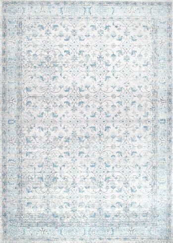 nuLOOM Rio Transitional Farmhouse Area Rug, 10' x 14', Aqua in Saudi Arabia
