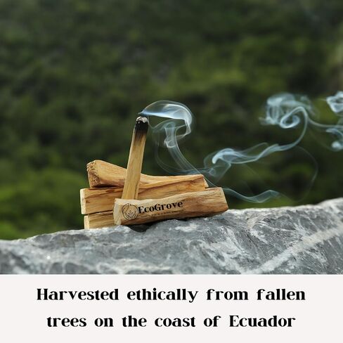 Premium Organic Palo Santo Stick from Ecuador High Resin Natural Aromatherapy, Smudging Sticks Wild Harvested Palosanto Holy Wood in Saudi Arabia