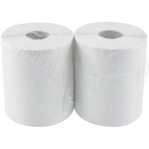 L LIKED 2 Rolls of 4" x 6" Direct Thermal Shipping Labels with 250 Labels/Roll