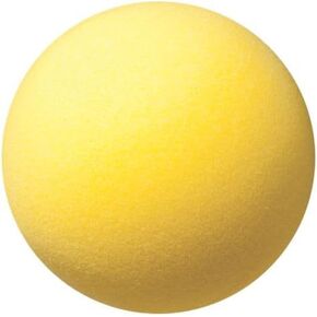 Champion Sports Uncoated Regular Density Foam Ball in Kuwait