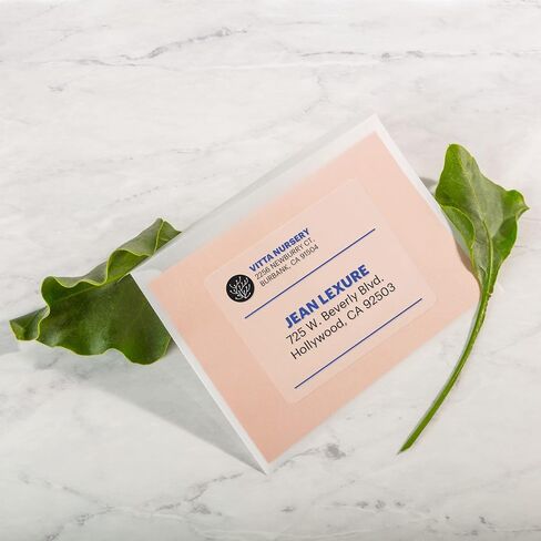 Avery Printable Shipping Labels with Sure Feed, 2" x 4", Matte Clear, 250 Blank Mailing Labels (8663) in Saudi Arabia