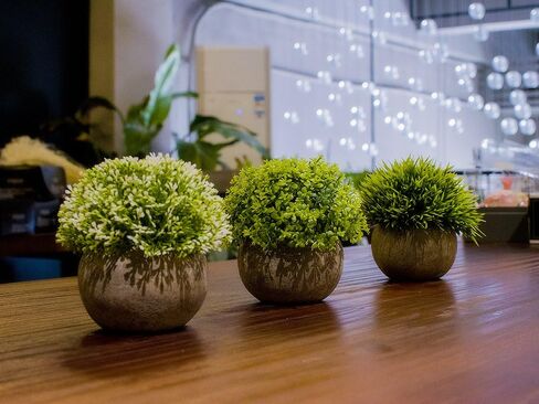 Opps Mini Artificial Plants Plastic Fake Green Grass Topiary Shrubs with Gray Pot for Home Décor – Set of 3 in Saudi Arabia
