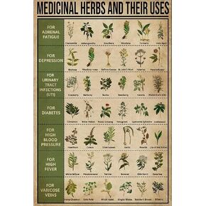 Funny Metal Signs Decor Antique Metal Sign Medicinal Herbs And Their Uses Medicinal Plants Knowledge Tin Sign Vintage Decoration Garage Home Garden Cafes Kitchen Wall Tin Signs 8x12 inch