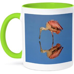 3dRose Florida, Ding Darling, NWR Roseate Spoonbill bird-US10 BFR0120-Bernard Friel Two Tone Mug, 11 oz, Blue/White