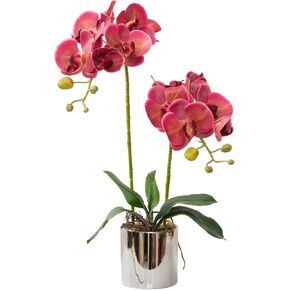 Artificial Orchid Flowers White Faux Orchids with Ceramic Vase Vivid Fake Phalaenopsis Flower Arrangement Gorgeous Artificial Plants for Office Desk Wedding Party Exhibition Center & Home Table Decor