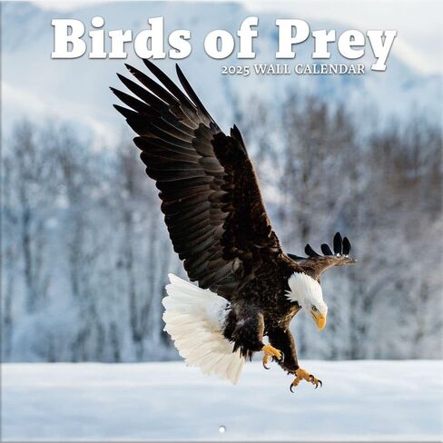 Turner Photographic Birds of Prey 12X12 Photo Wall Calendar (24998013005) in Saudi Arabia