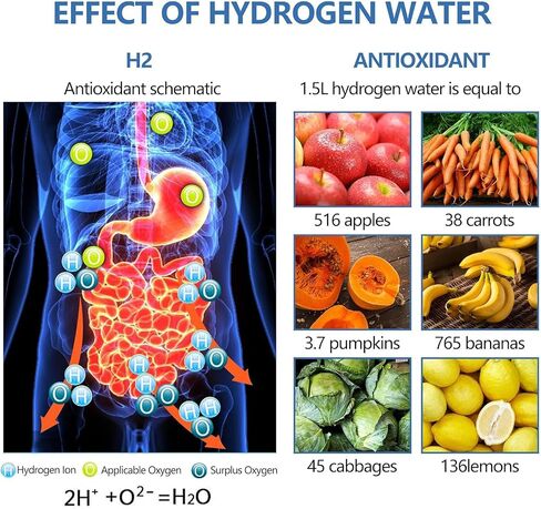 Hydrogen Water Bottle, Portable Hydrogen Water Ionizer Machine, Hydrogen Water Generator, Rechargeable Hydrogen Rich Water Glass Health Cup for Home Travel (Silvery) in Saudi Arabia