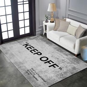 Keep Off Area Rug Grey Rugs Modern Home Decor Polyester Carpet 3D Printed Large Pop Rug for Game Room Bedroom Living Room Non-Slip Floor Mat 3.3' x 5'