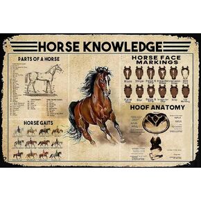 Horse Knowledge Metal Tin Sign Parts Of A Horse Retro Poster Equestrian Club School Education Science Popular Science Living Room Bathroom Kitchen Home Art Wall Decoration Plaque Gift