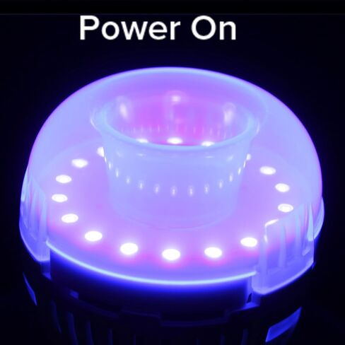 سانسي 2 حزمة لمبة الضوء الأسود، 7W A15 أضواء سوداء بقيادة لمبة لتوهج حزب هالوين الزينة، E26 قاعدة ضوء أسود لمبات الضوء في الأماكن المغلقة الأشعة فوق البنفسجية ضوء لمبة لطلاء الجسم الفلورسنت ملصق توهج الطرف in Kuwait