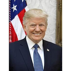 Artery8 Craighead Portrait US President Donald Trump Photo Art Print Framed Poster Wall Decor 12x16 inch