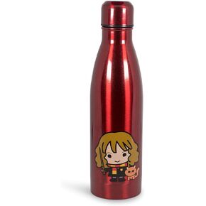 Harry Potter Hermione Aluminum Sleek Insulated 16 Ounce Water Bottle For Girls, Boys & Kids - Leakproof Lids & Sweat Proof Drinking Bottle - Great for Outdoor Sports, Hiking, Cycling, Travel & Picnic