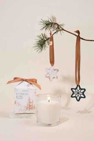 شموع Paddywax CFH0802 شمعة معطرة من مجموعة Cypress & Fir Holiday Collection، 8 أونصة، بيضاء، 8 أونصة in Saudi Arabia