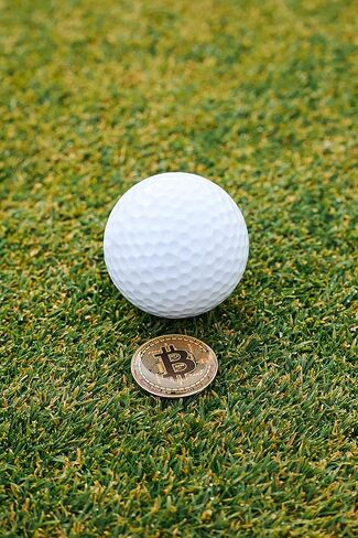 Satoshi Nakamoto Golf Ball Markers - Value Pack of 2 Black and Yellow - Works with Most Hat Magnetic Clips and Divot Repair Tools, Golf Gift Accessories - Satoshi Black and Yellow - 2 Pack in Saudi Arabia