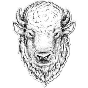 GT Graphics Express Buffalo - Vinyl Sticker Waterproof Decal