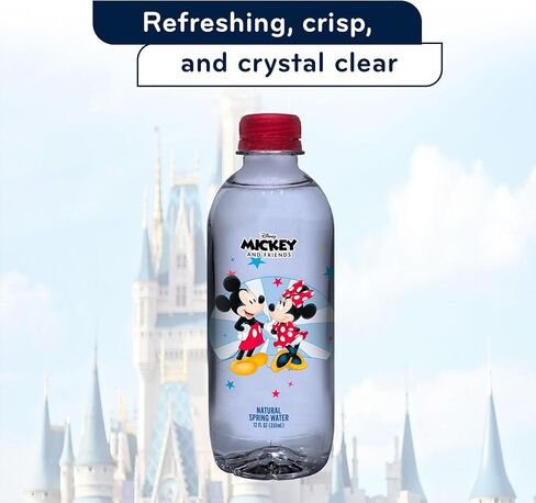 Disney Princess Group Pet Water Bottle by Disney Water for Unisex - 12 x 12 oz Water in Saudi Arabia