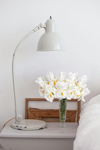 Hollyone Iris Artificial Flowers 15Pcs Faux Iris White Flowers 14.2" Real Touch Fake Flowers Picks Bouquets for Wedding Bridal Home Arrangements Office Table Centerpieces Decor in Saudi Arabia
