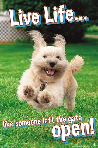 Trends International Avanti - ملصق حائط Dog Joy، مقاس 22.375 بوصة × 34 بوصة، إصدار غير مؤطر in Saudi Arabia
