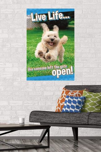 Trends International Avanti - ملصق حائط Dog Joy، مقاس 22.375 بوصة × 34 بوصة، إصدار غير مؤطر in Saudi Arabia