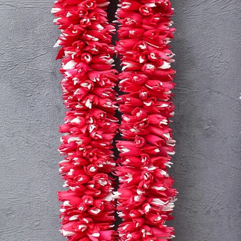 إكليل زهور من خشب فارمالا سولا بطول 3.5 قدم | حفل زفاف المهرجانات الهندية، غرفة بوجا أصنام الله، إطارات الصور مالا | جيمالا/هار للعروس والعريس | الأبيض والأحمر (عبوة من 1) in Kuwait