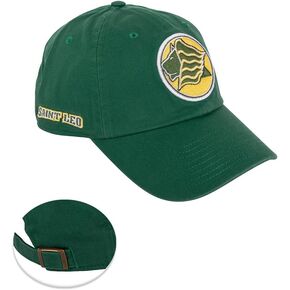 Desert Cactus Saint Leo University Baseball Hat Lions Brimmed Embroirderd Hats Cap Adjustable Cloth Strap Adult (Style D)