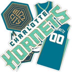 Desert Cactus Charlotte Hornets Stickers NBA Officially Licensed Sticker Vinyl Decal Laptop Water Bottle Car Scrapbook (City Edition 2023)