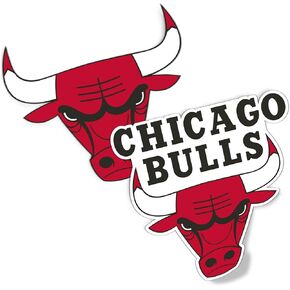 Desert Cactus Chicago Bulls NBA Officially Licensed Sticker Vinyl Decal Laptop Water Bottle Car Scrapbook (4 Inch)