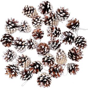 24 Pieces Christmas Pine Cone Ornaments-3 to 4cm,Natural PineCones with String Pendant Crafts for Gift Tag Christmas Tree Party Hanging Decoration (Snow)