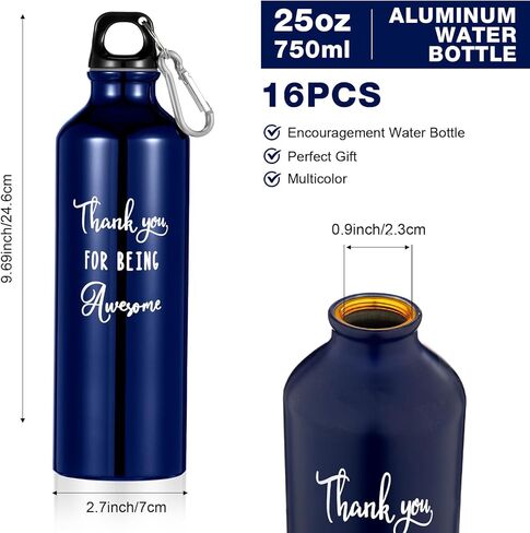 16 قطعة من Pinkunn، هدايا شكر وتقدير، زجاجة مياه من الألومنيوم، زجاجة مياه رياضية خفيفة الوزن مع غطاء ملتوي لزملاء العمل والتخييم والشرب in Kuwait