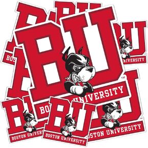 Desert Cactus Boston University Stickers Terriers BU Vinyl Decals Laptop Water Bottle Car Scrapbook Sheet T3 (Type 3-1)
