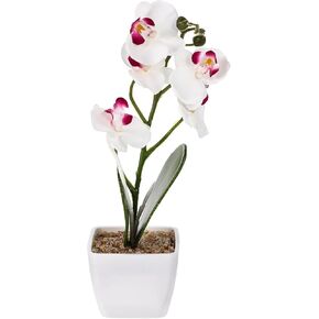 PRETYZOOM Artificial Flower Phalaenopsis Faux Flower for Decor Table Centerpieces Fake Tulips Flower Vases for Centerpieces Faux Potted Plants Silk Flower Dropshipping White Orchid