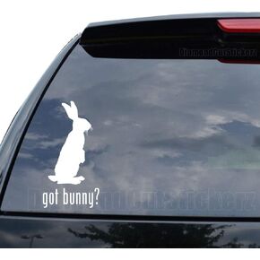 DiamondCutStickerz GOT Bunny Rabbit PET Decal Sticker Car Truck Motorcycle Window Bumper Laptop Wall Decor - Size (09 inch / 23 cm Tall) - Color (Gloss White)