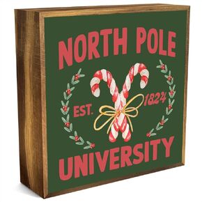 Christmas Decor Wooden Box Sign Funny Christmas Decorations Bedroom Bathroom Home Kitchen Living Room Christmas Sign Decor Merry Christmas Gifts for Women Men Friend Colleague Grandma Wife