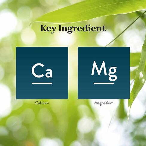 كبسولات كالسيوم مرجانية من Nature's Sunshine، 90 كبسولة in Kuwait