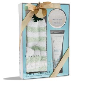 Live Green Bath and Body Present Set- Foot Spa Set with Fuzzy Socks, Lotion, and Scrub, Honey Almond